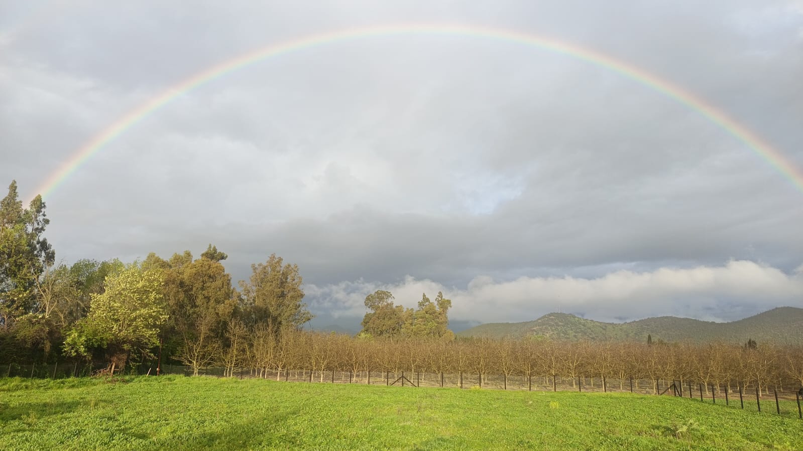 PARCELA ISLA DE MAIPO – VISTA ESTE