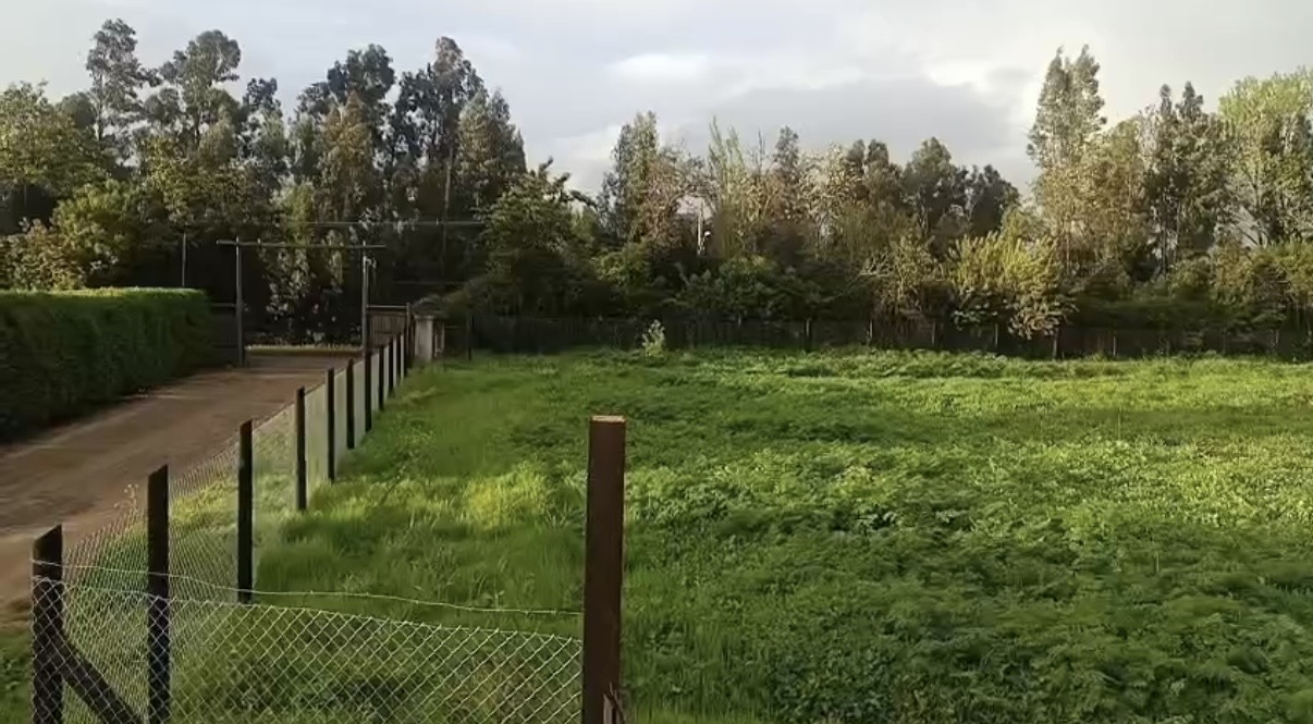 PARCELA ISLA DE MAIPO – VISTA NORTE